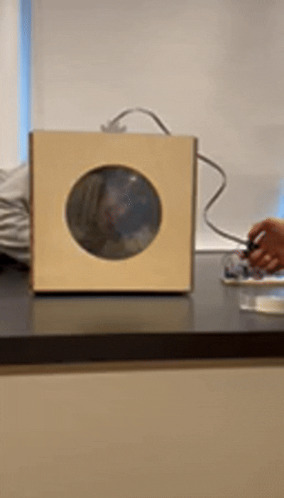 Manual Polarization Demo