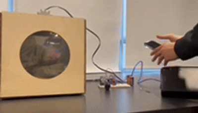 Polarizing Window Demo