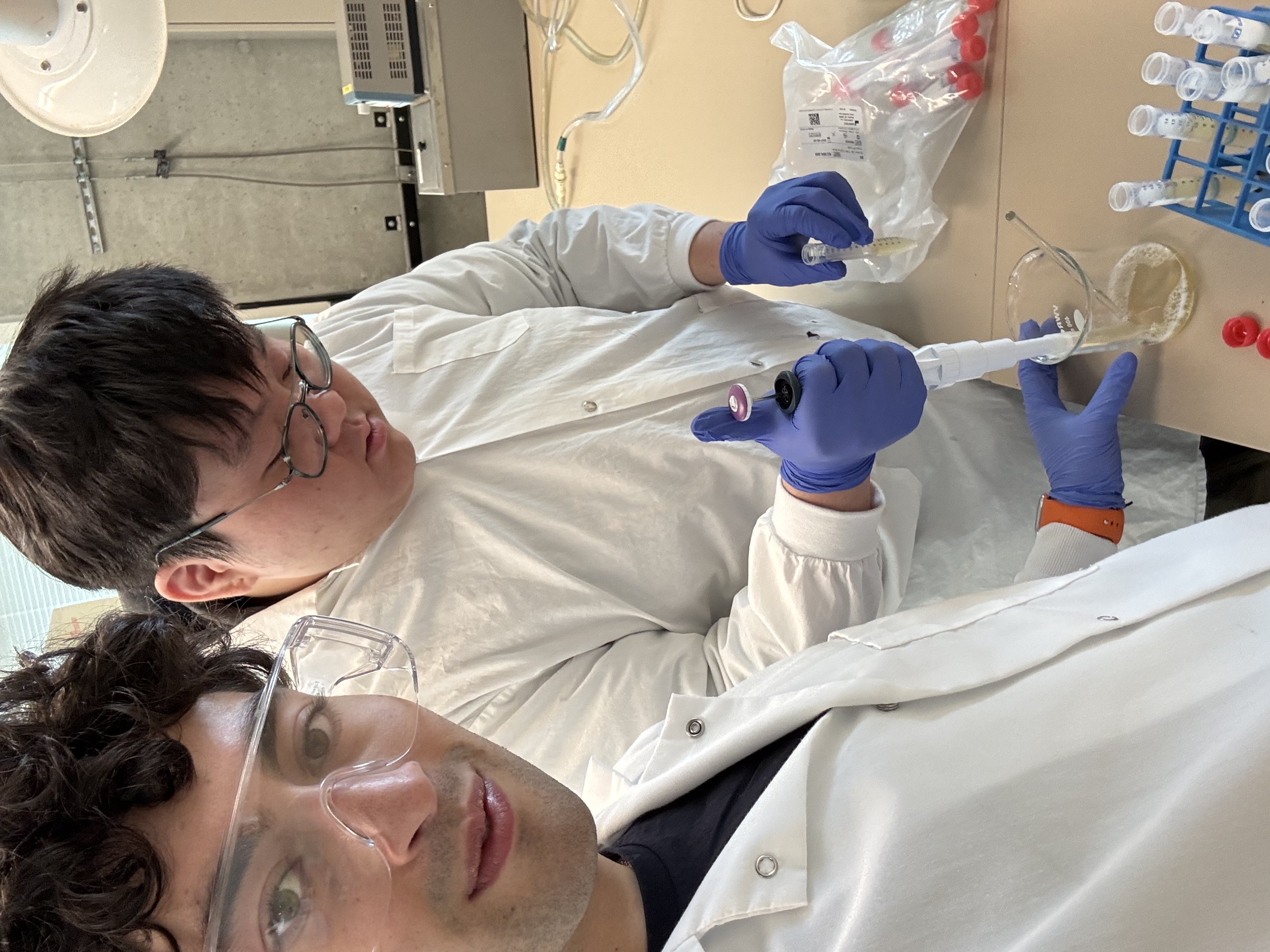 BuE. coli lab testing