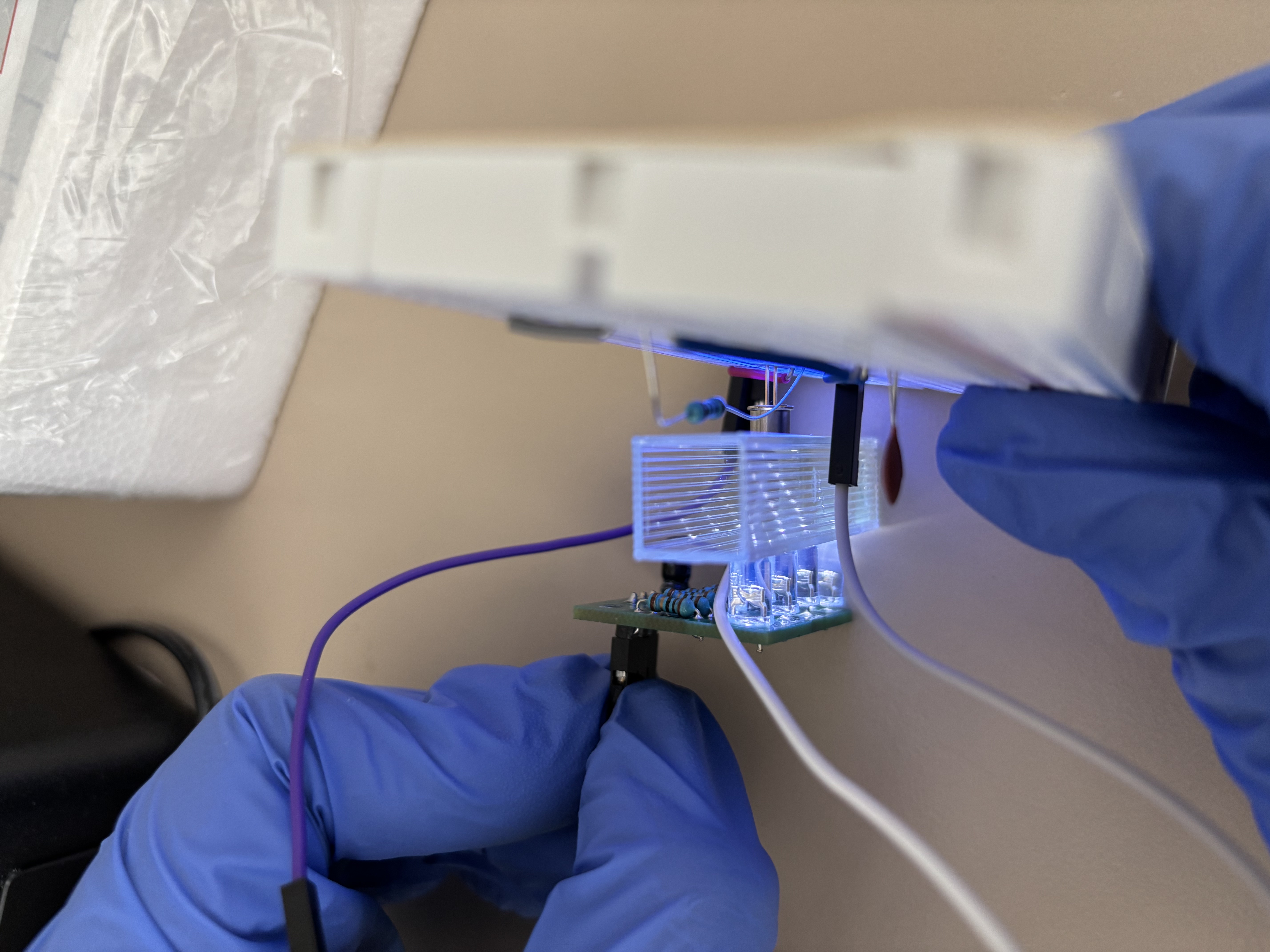 BuE. coli lab testing